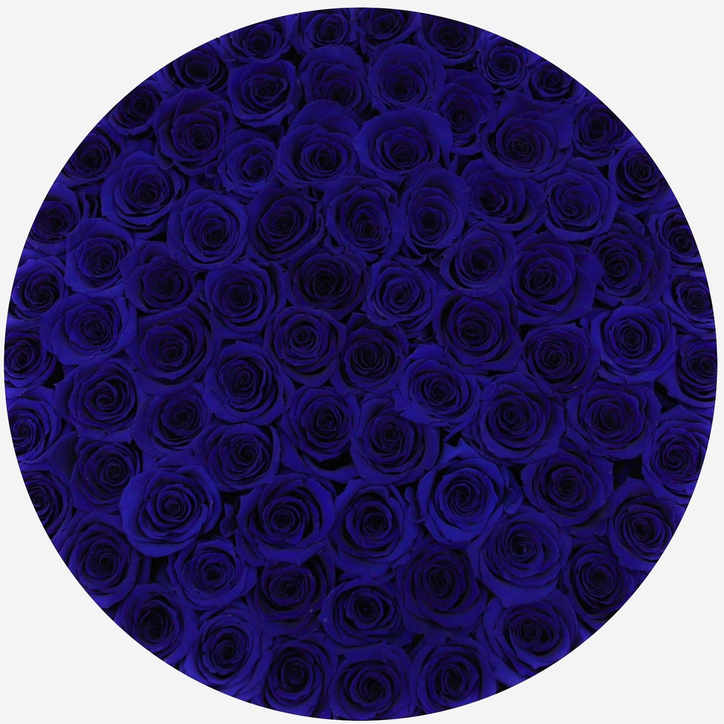 Deluxe White Box | Royal Blue Roses - The Million Roses