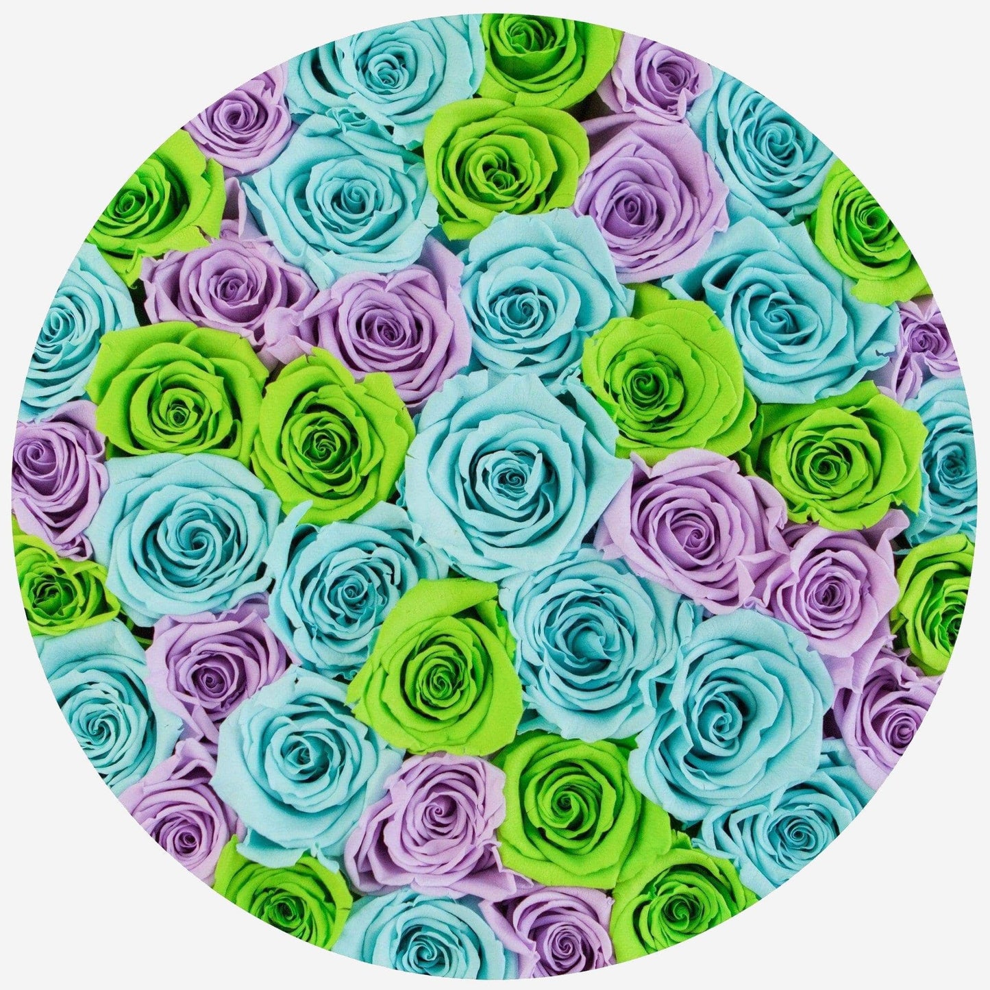 Supreme White Box | Lavender & Green & Turquoise Blue Roses - The Million Roses