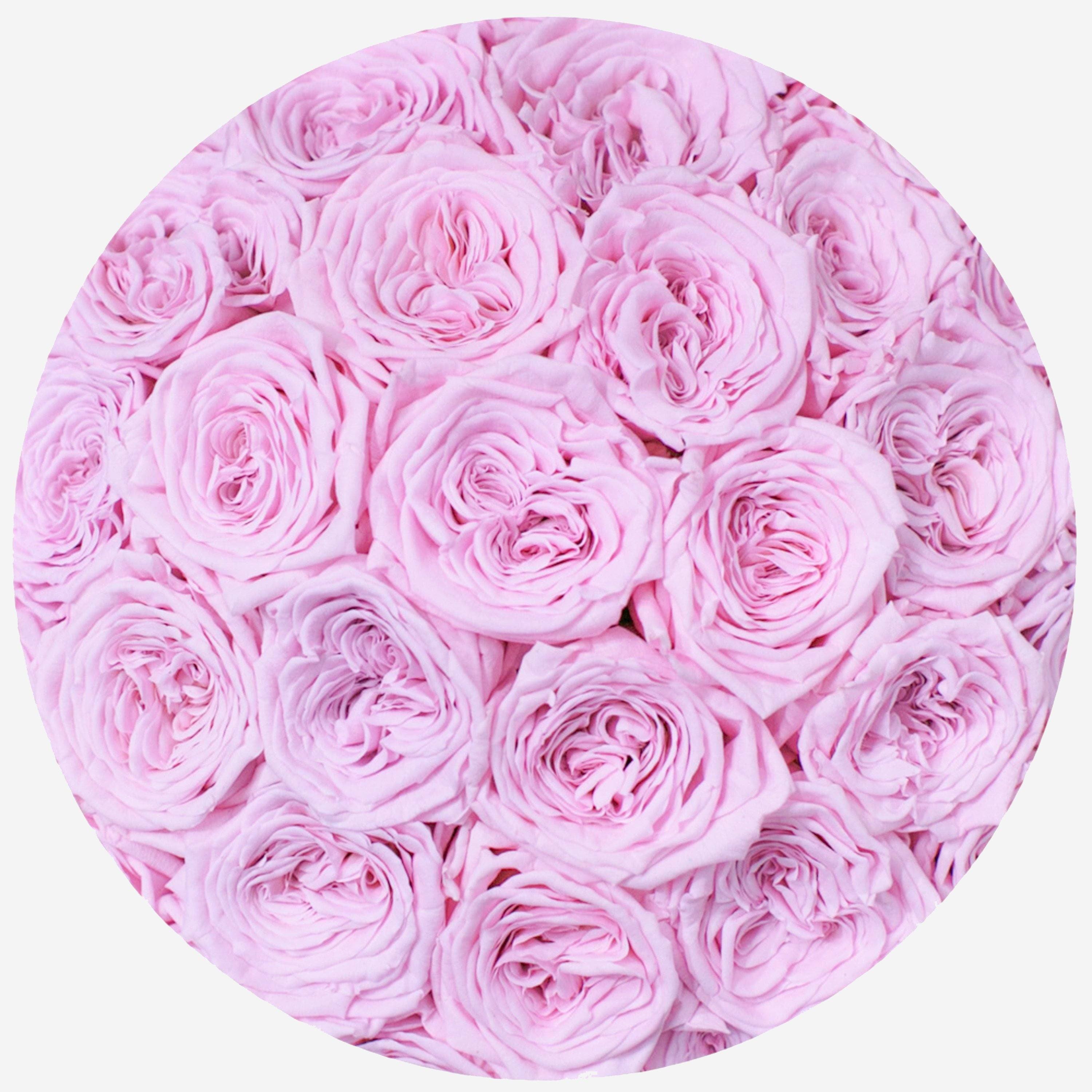 Classic White Dome Box | Light Pink Roses - The Million Roses