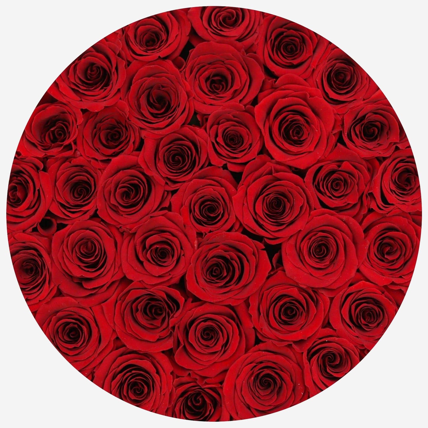 Supreme Black Box | Red Roses - The Million Roses
