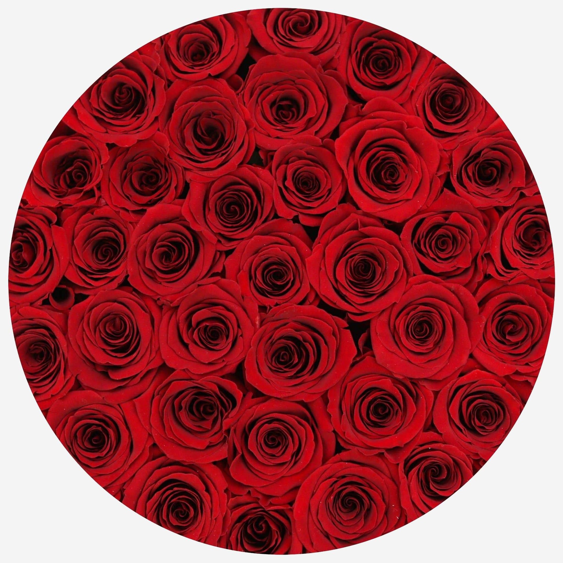 Supreme Black Box | Red Roses - The Million Roses