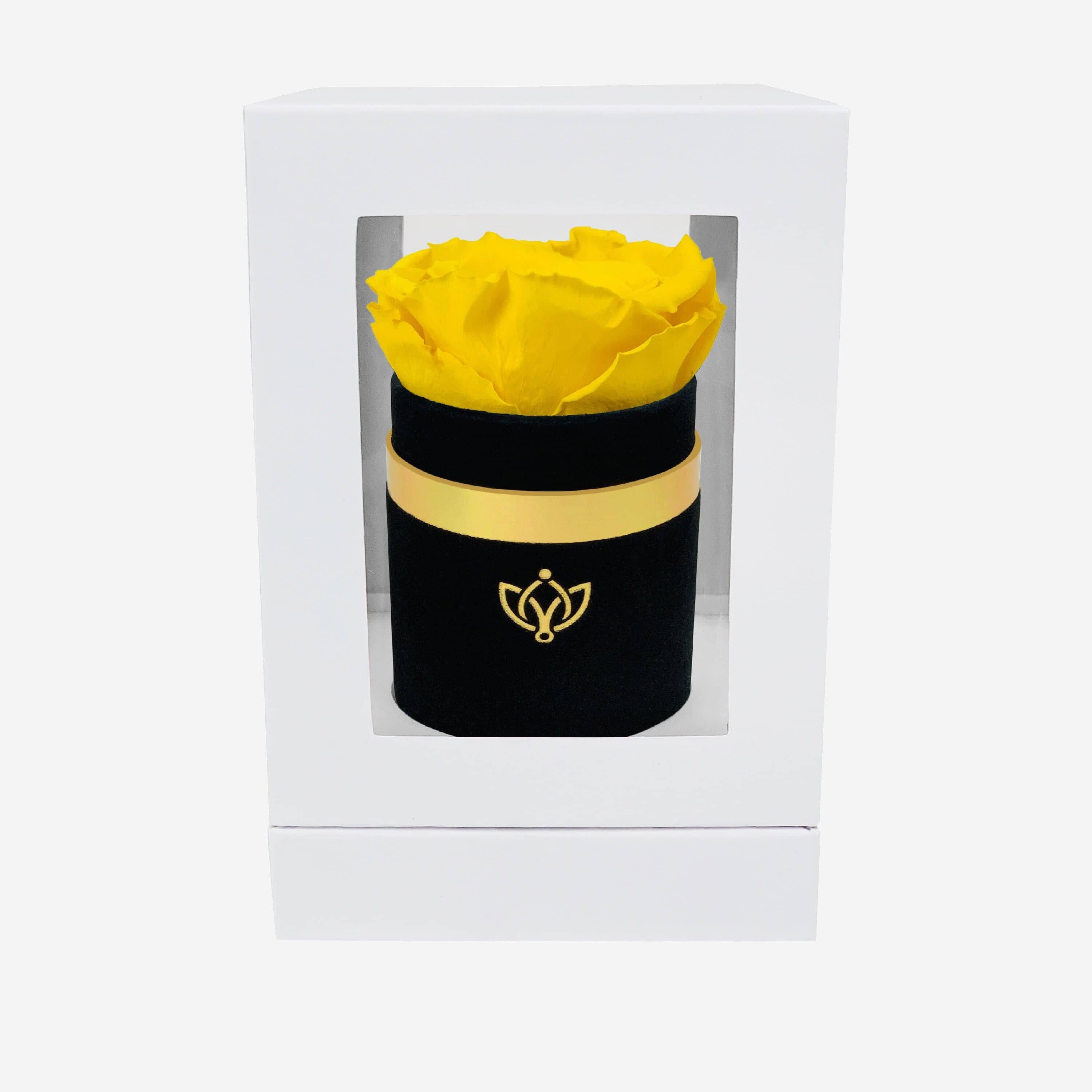 Single Black Suede Box | Yellow Rose - The Million Roses