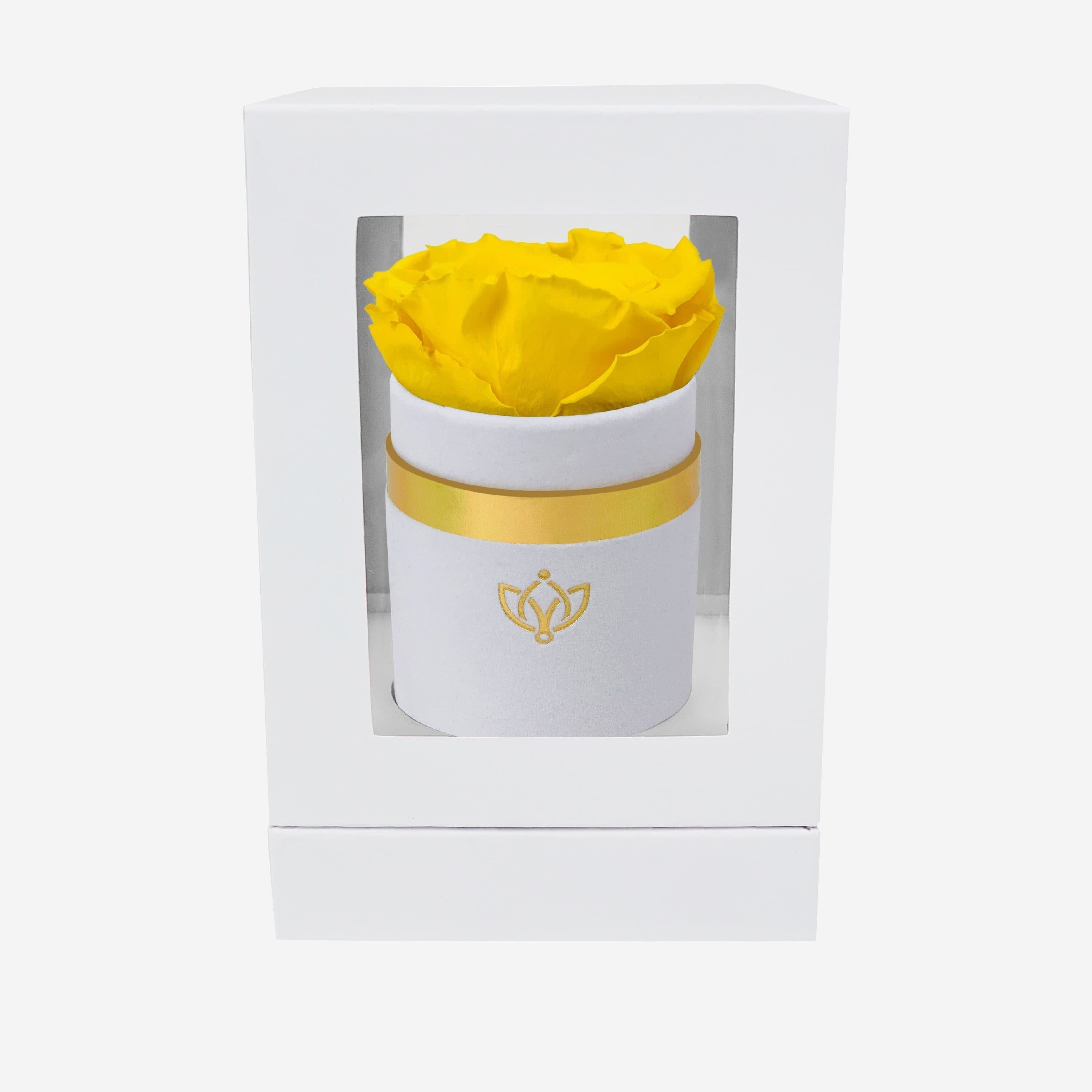 Single White Suede Box | Yellow Rose - The Million Roses