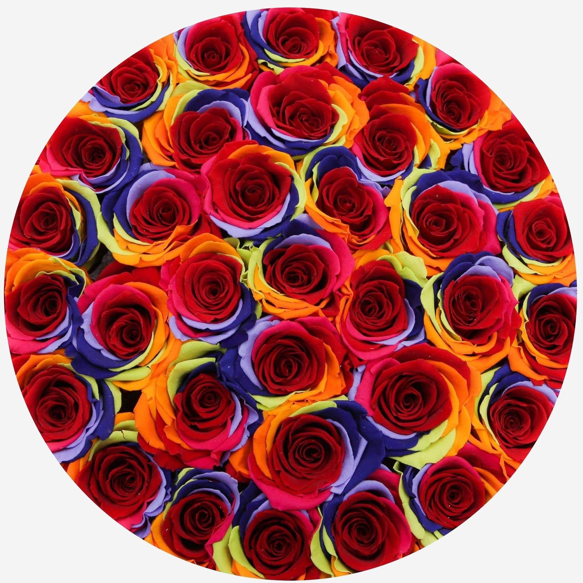 Supreme White Box | Rainbow Roses - The Million Roses
