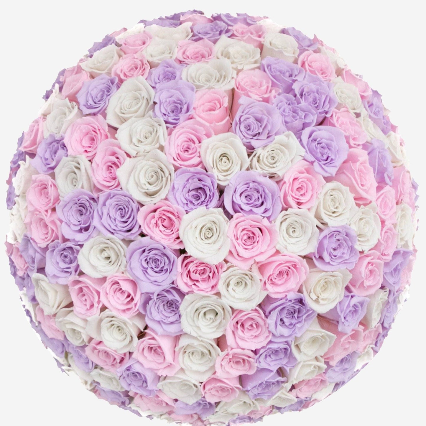 Deluxe White Dome Box | White & Pink & Lavender Roses - The Million Roses