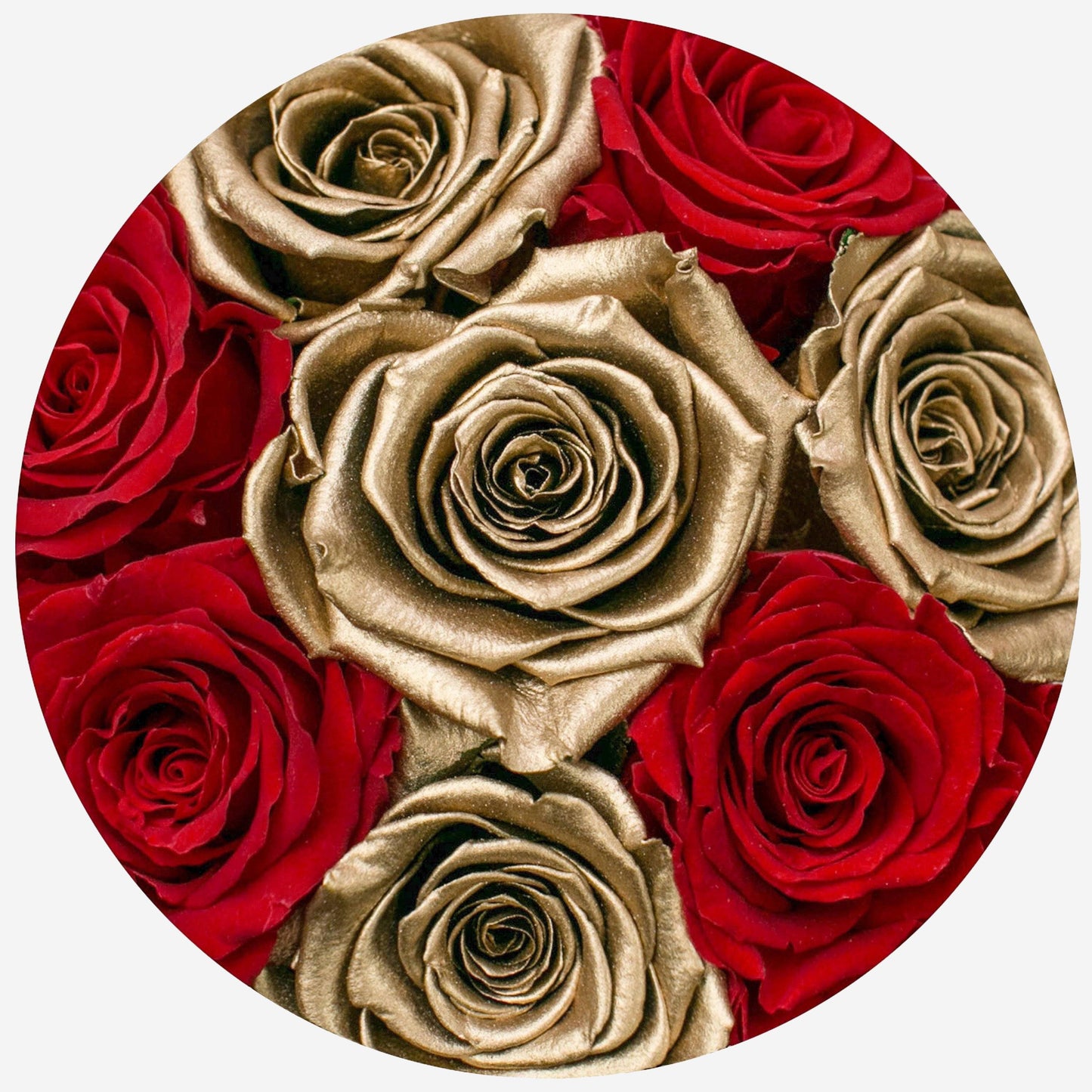 Basic Gold Box | Red & Gold Roses - The Million Roses