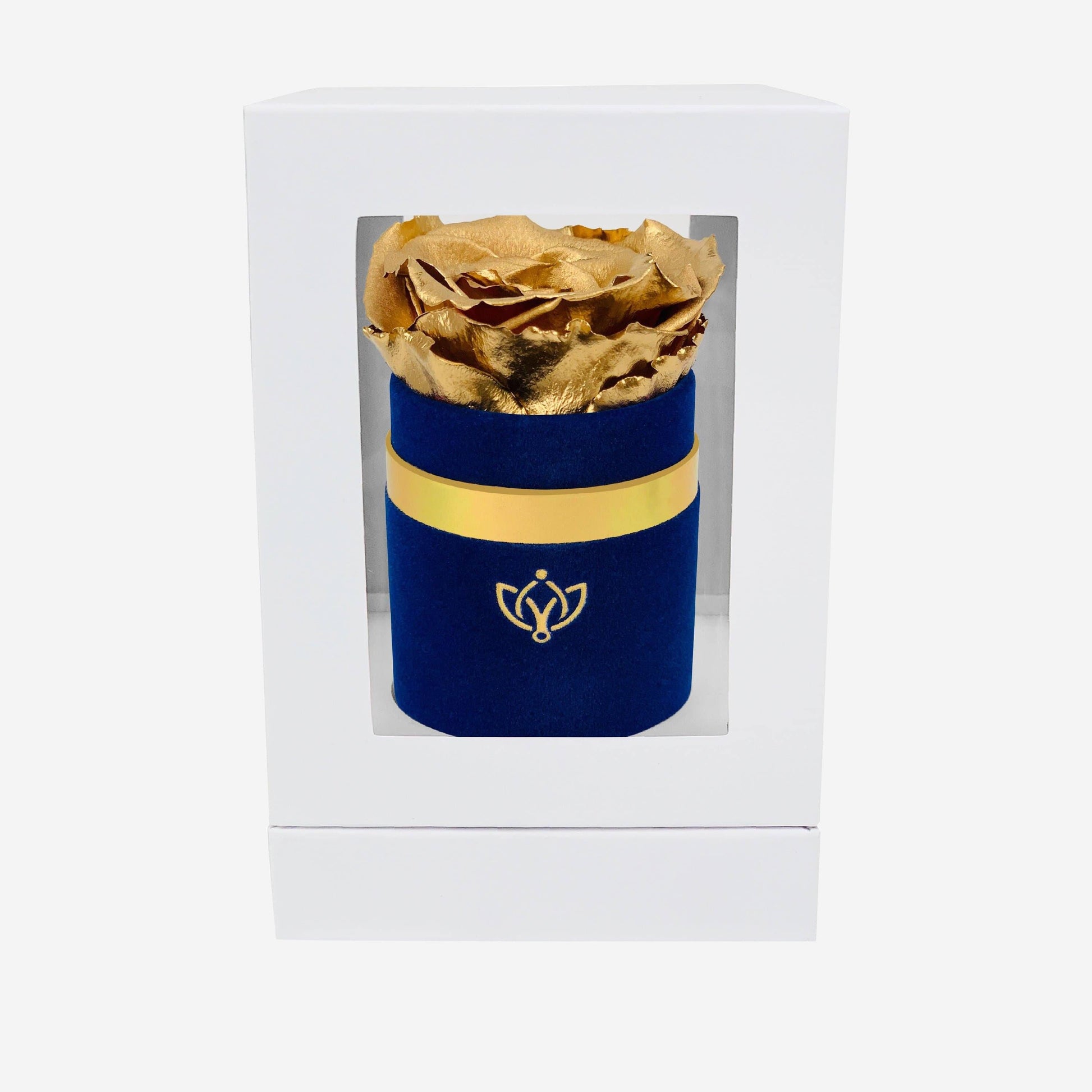 Single Royal Blue Suede Box | Gold Rose - The Million Roses
