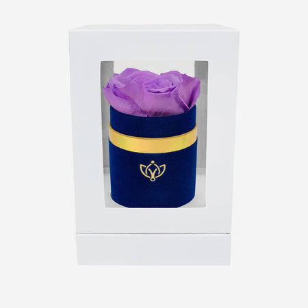 Single Royal Blue Suede Box | Lavender Rose - The Million Roses