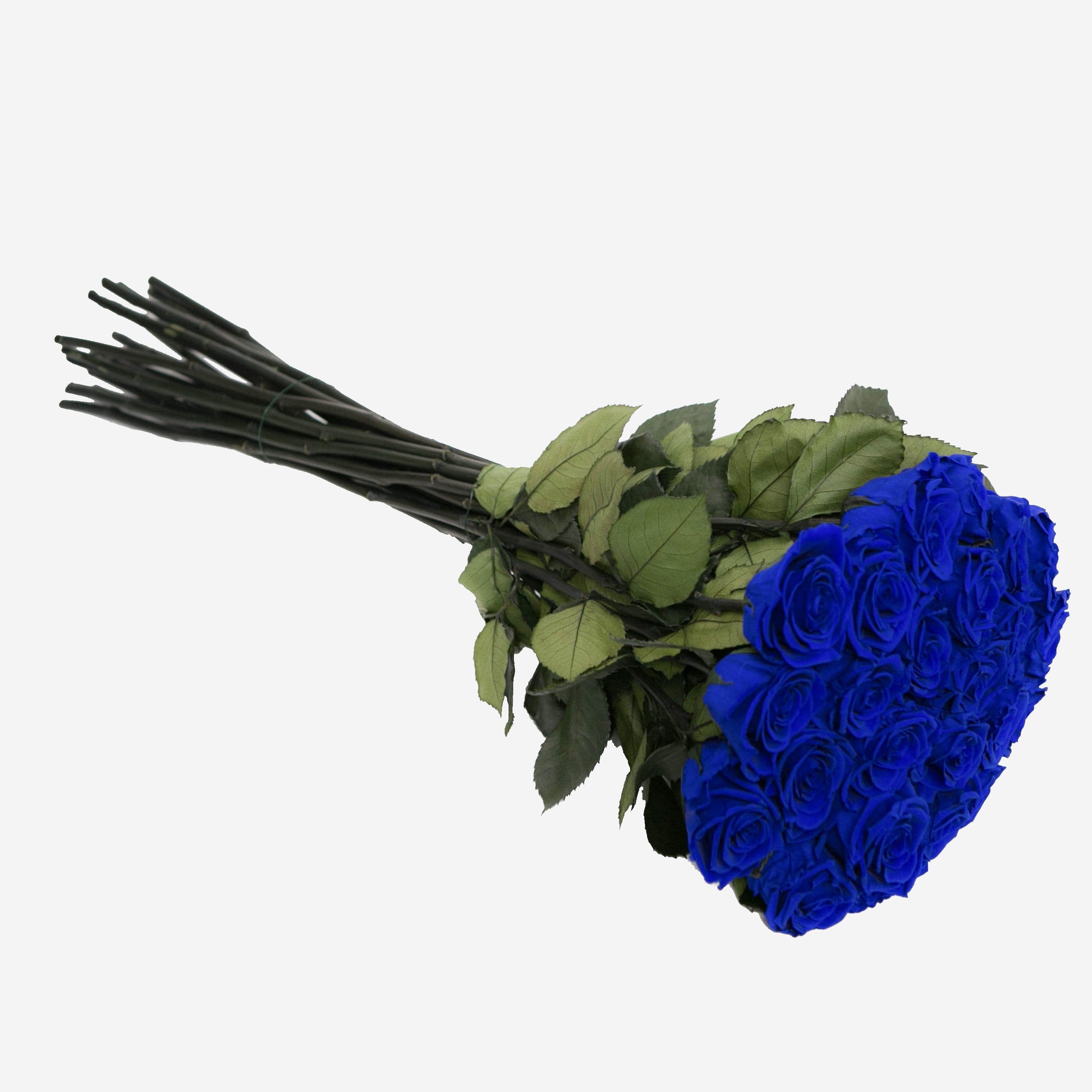 Long Stem Roses | Blue Roses - The Million Roses