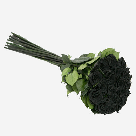 Long Stem Roses | Black Roses - The Million Roses