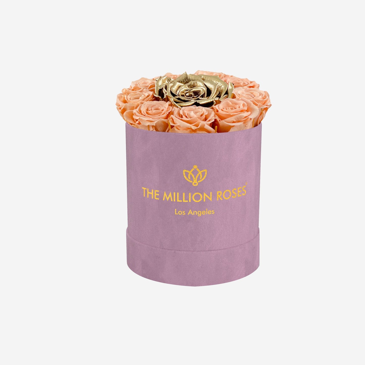 Basic Light Pink Suede Box | Peach & Gold Mini Roses - The Million Roses