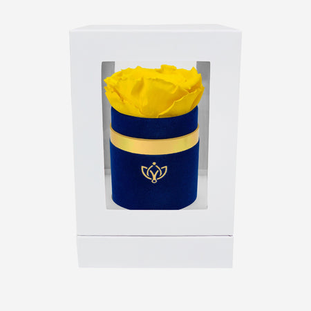 Single Royal Blue Suede Box | Yellow Rose - The Million Roses