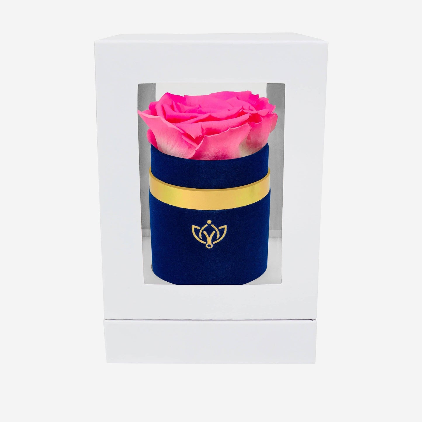 Single Royal Blue Suede Box | Candy Pink Rose - The Million Roses
