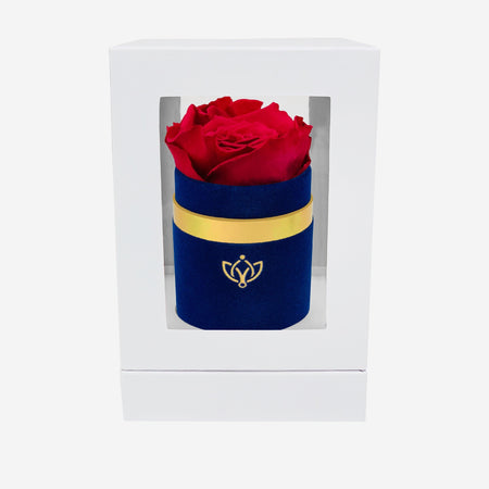 Single Royal Blue Suede Box | Magenta Rose - The Million Roses