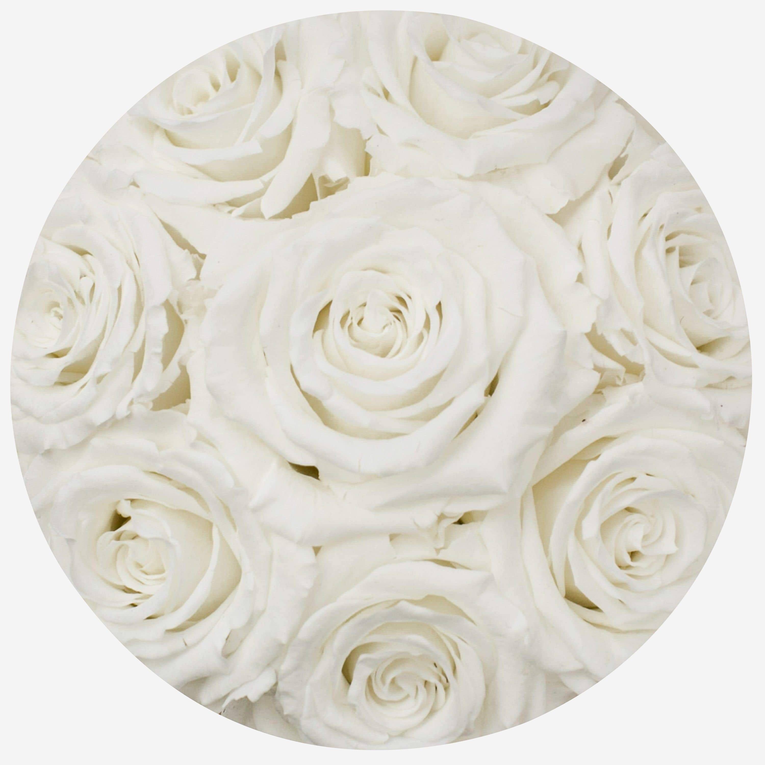 Basic Gold Box | White Roses - The Million Roses