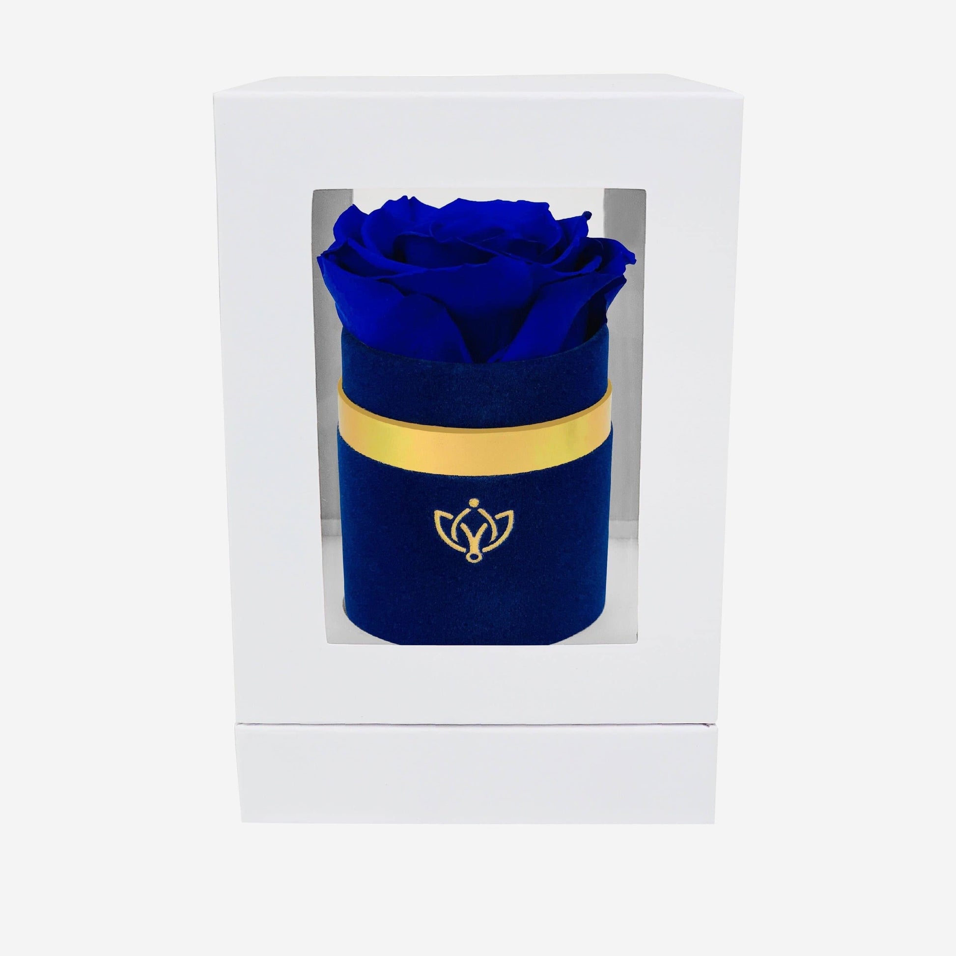 Single Royal Blue Suede Box | Royal Blue Rose - The Million Roses