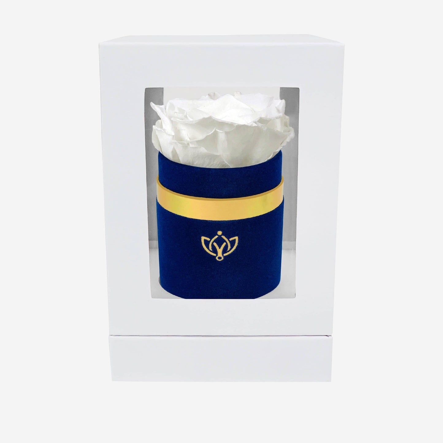 Single Royal Blue Suede Box | White Rose - The Million Roses