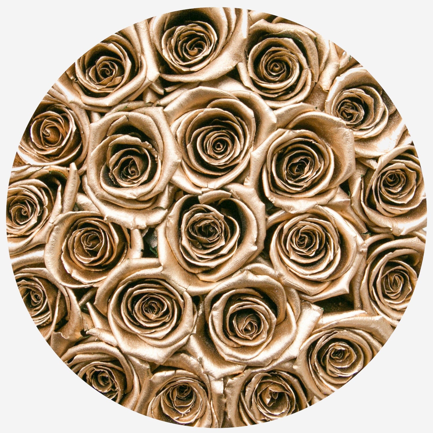 Classic Black Box | Gold Roses - The Million Roses