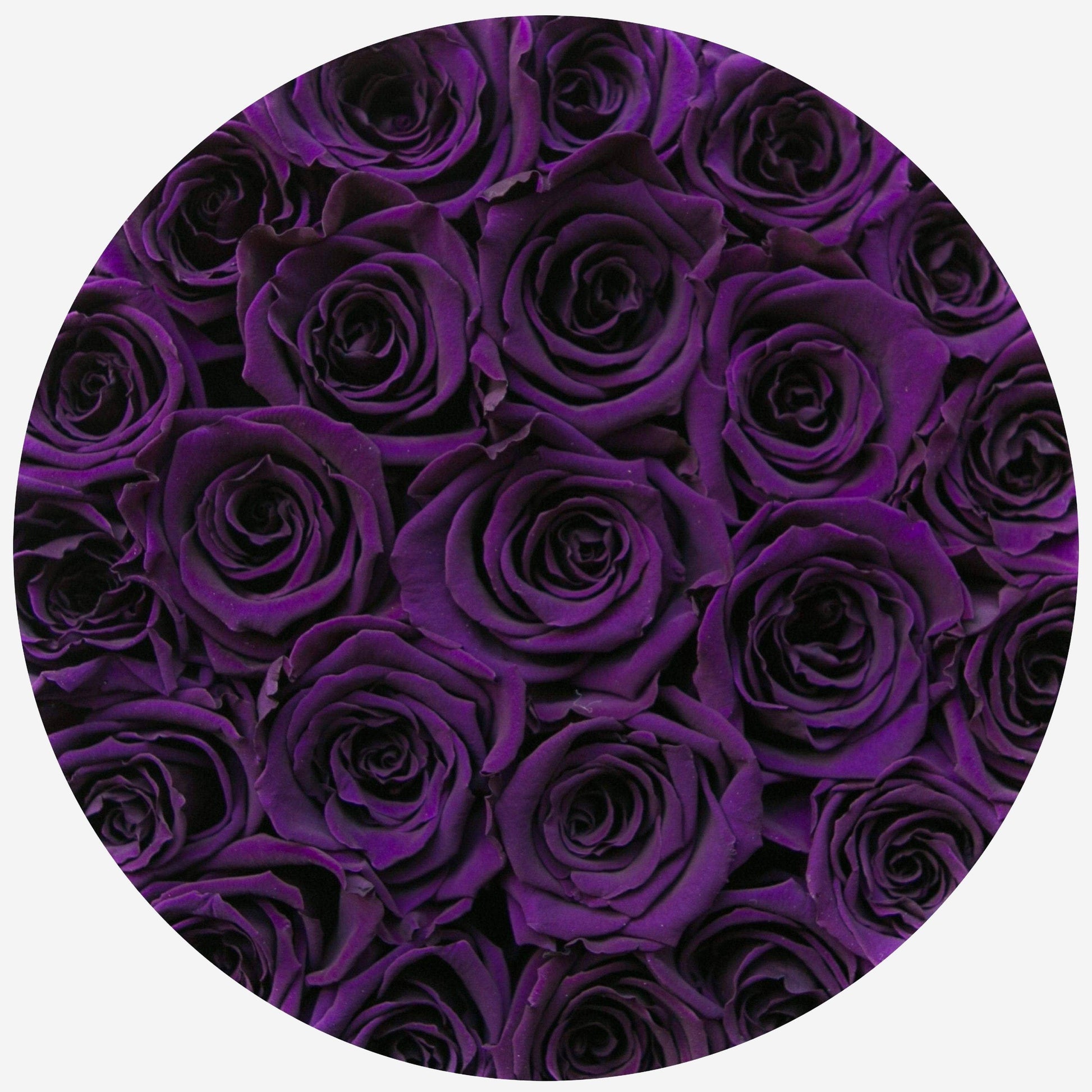 Classic Black Box | Dark Purple Roses - The Million Roses