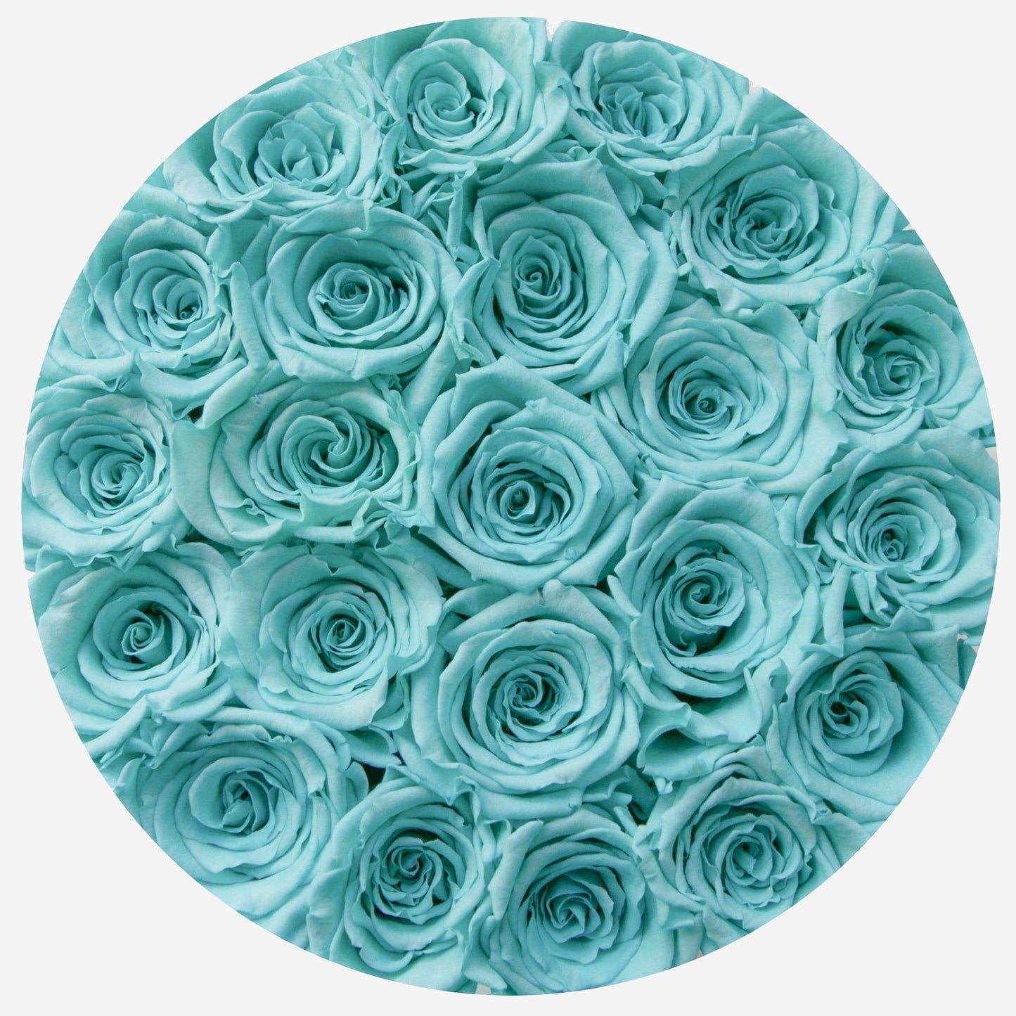 Classic Black Box | Turquoise Roses - The Million Roses