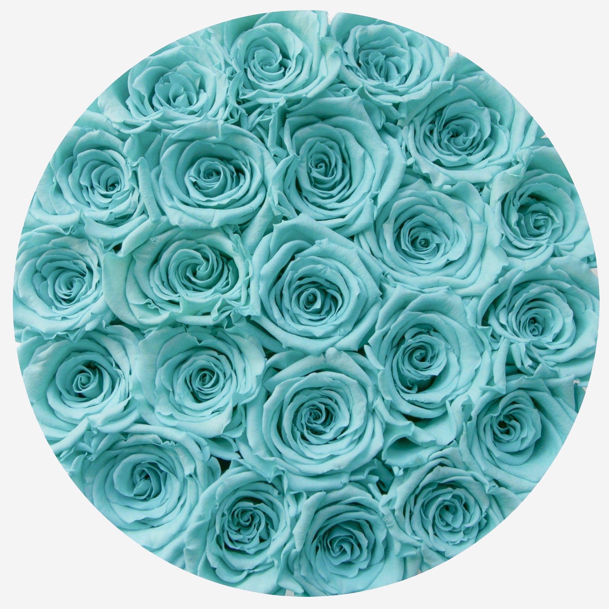 Tiffany blue ETERNAL roses in round flower box – The Brilliant Roses