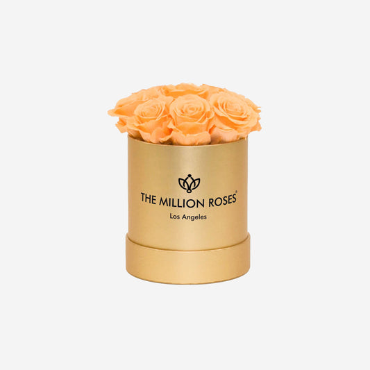 Basic Gold Box |  Peach Roses - The Million Roses