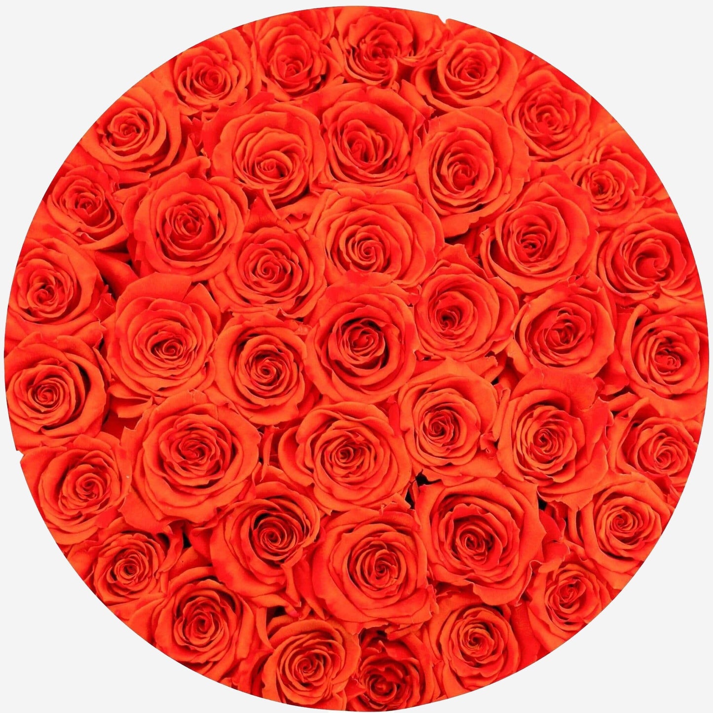 Supreme White Box | Orange Roses - The Million Roses