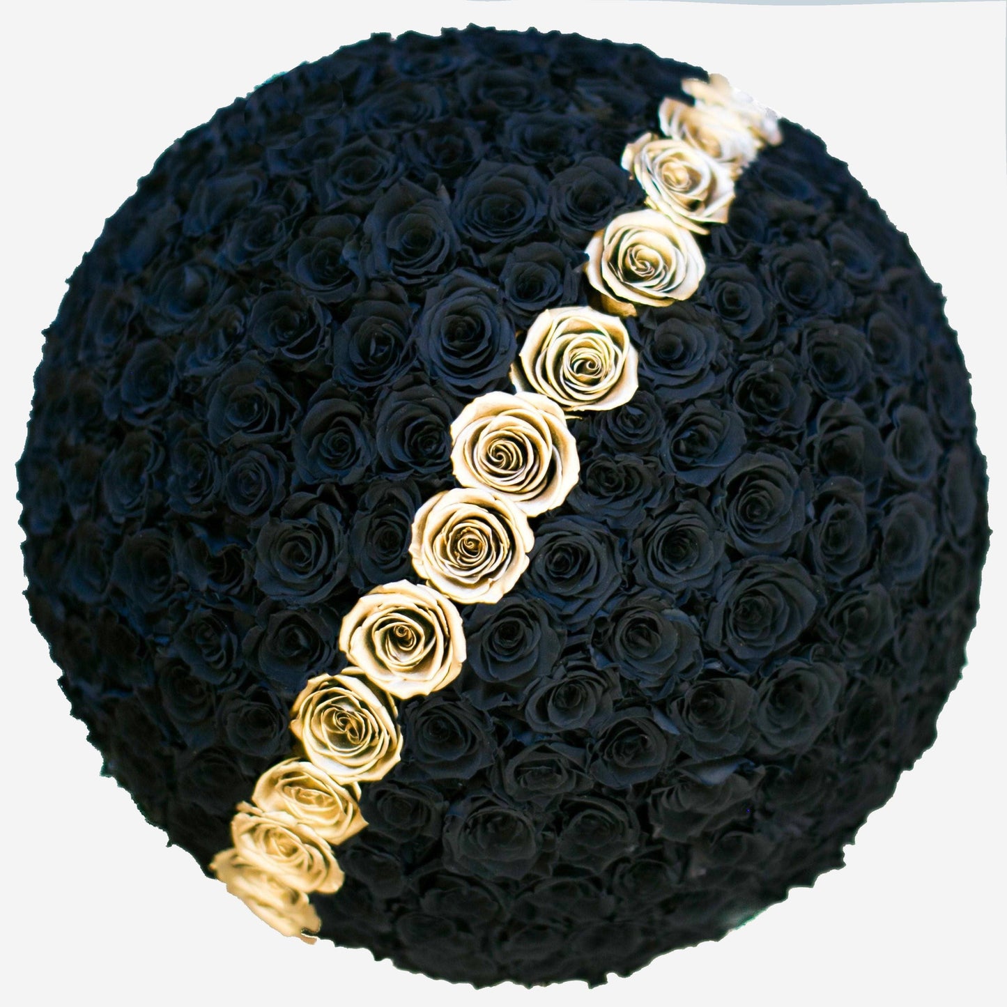 Deluxe Gold Dome Box | Black & Gold Roses | Minimal - The Million Roses