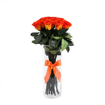 Long Stem Roses | Orange Roses - The Million Roses