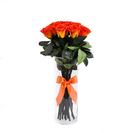Long Stem Roses | Orange Roses - The Million Roses
