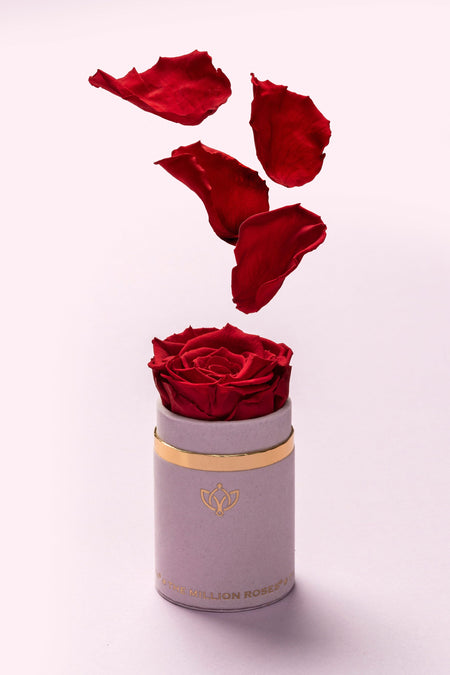 Single Light Pink Suede Box | Red Rose - The Million Roses