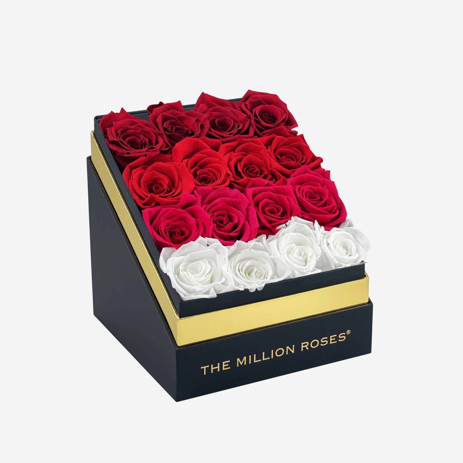 Square Black Box | Red Fade - The Million Roses