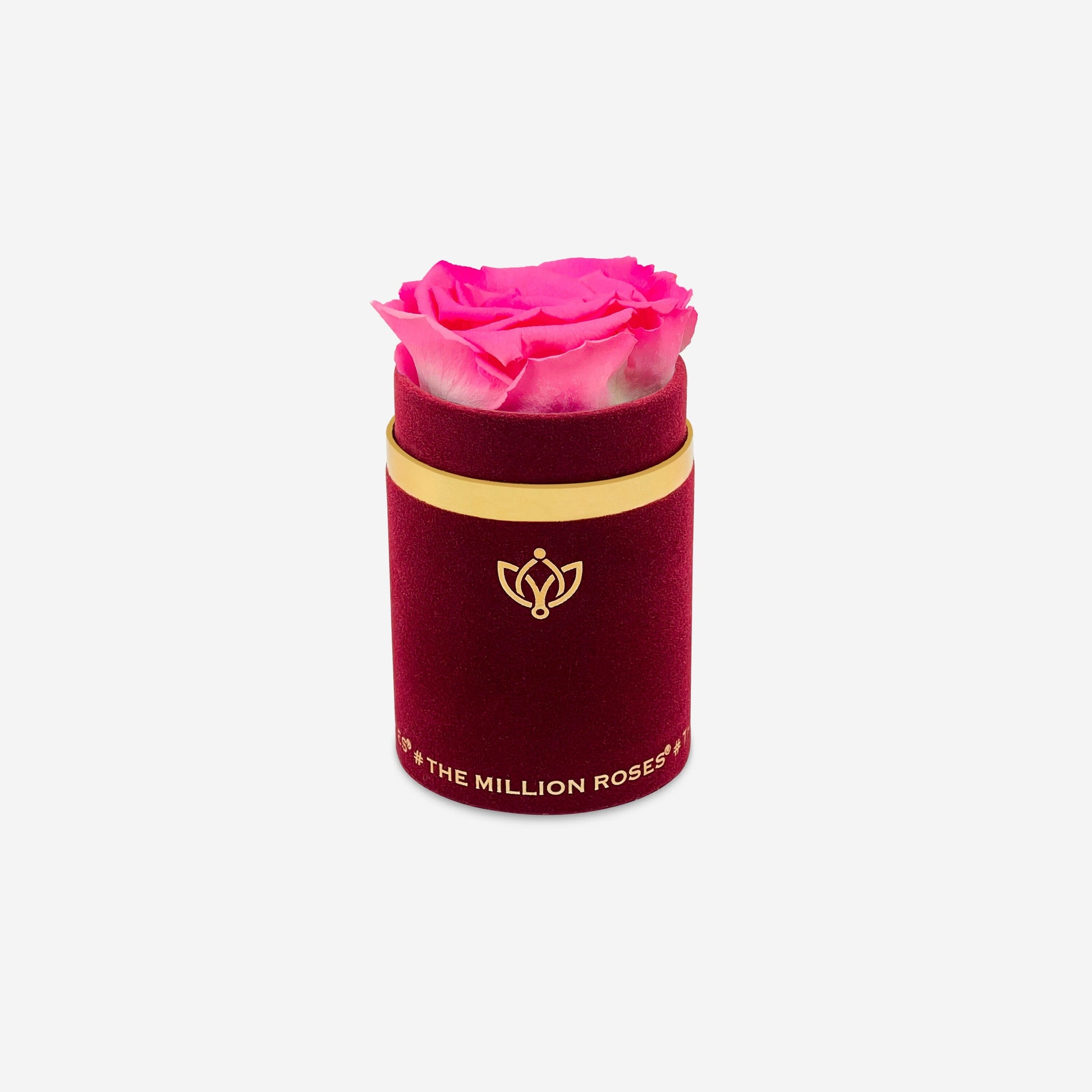 Single Bordeaux Suede Box | Candy Pink Rose - The Million Roses