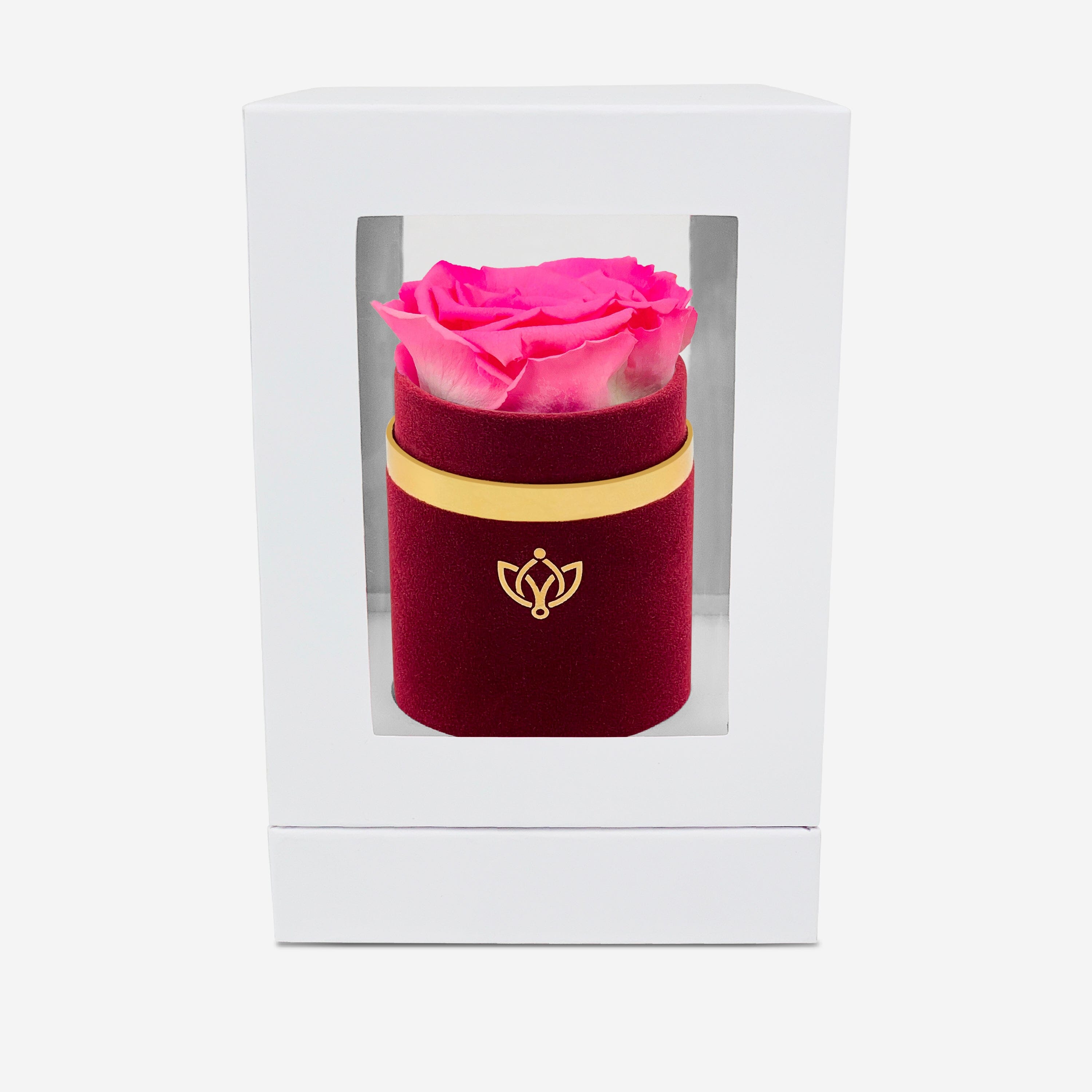 Single Bordeaux Suede Box | Candy Pink Rose - The Million Roses