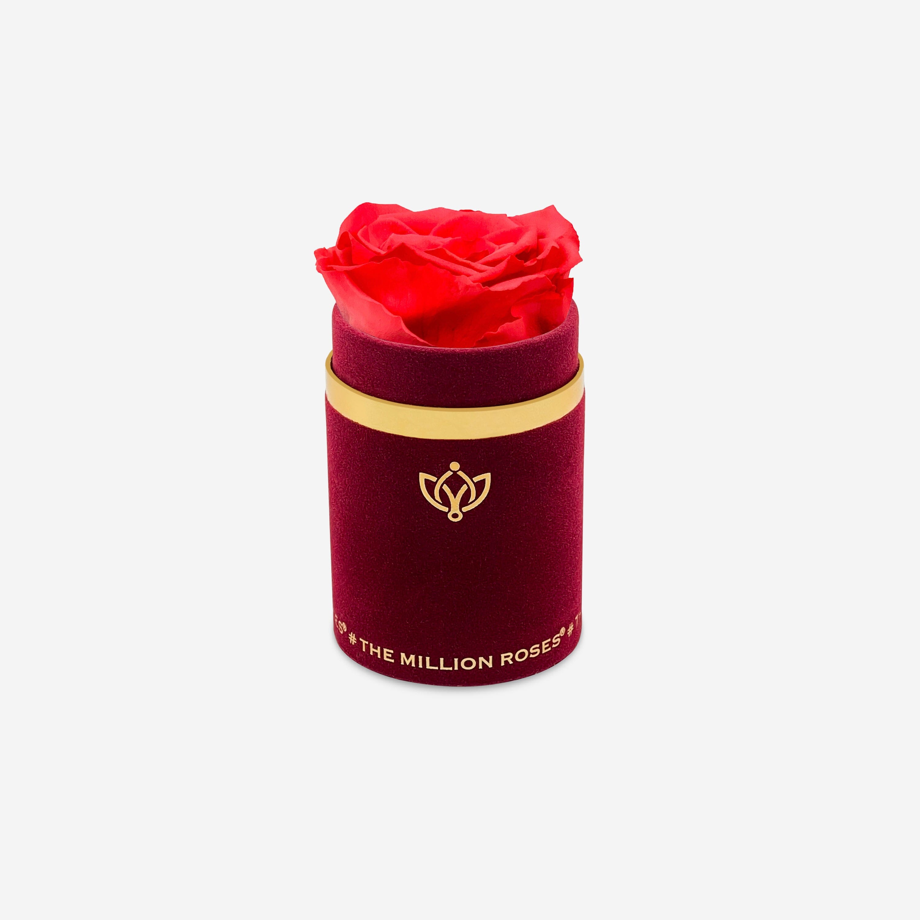 Single Bordeaux Suede Box | Coral Rose - The Million Roses