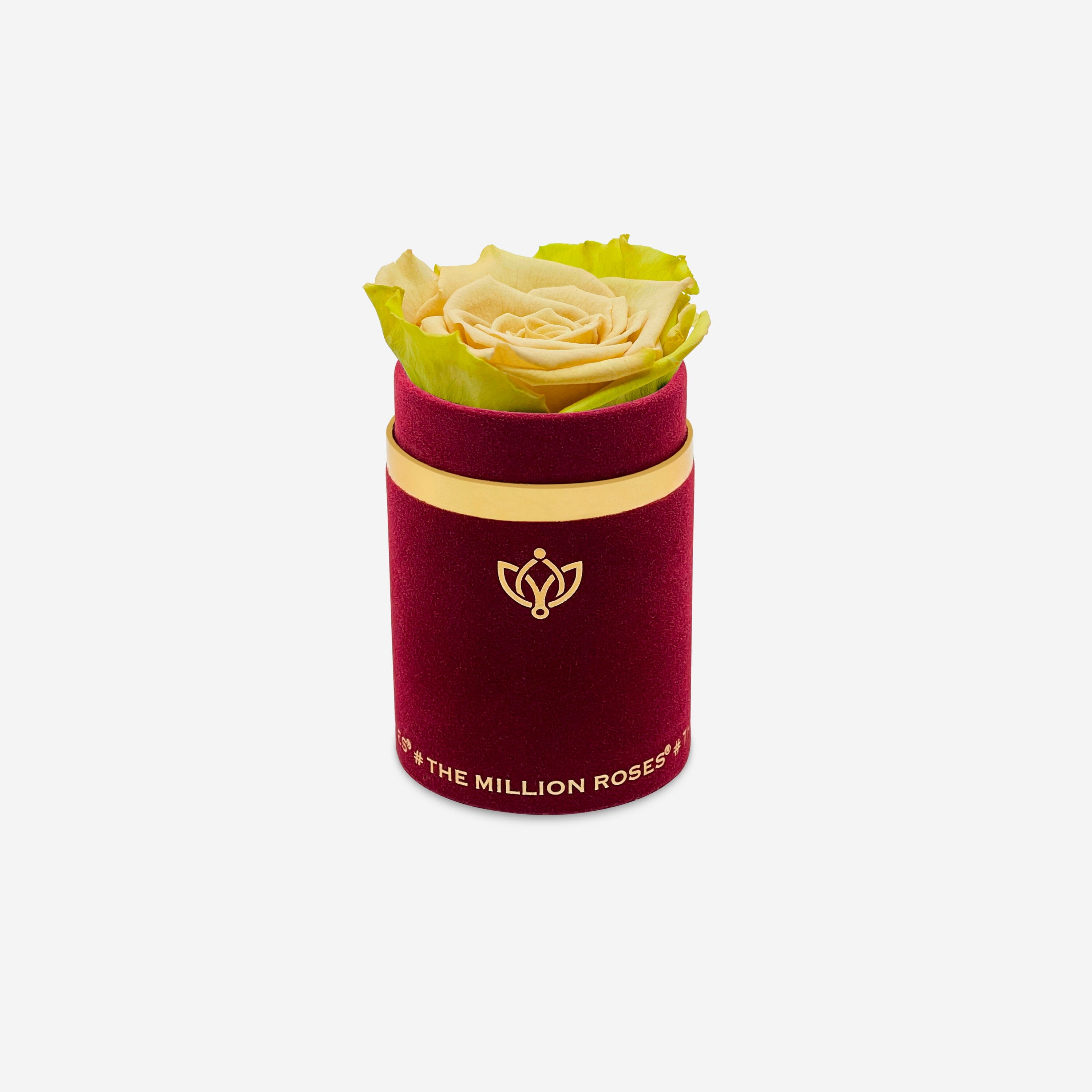 Single Bordeaux Suede Box | Fawn Bicolor Rose - The Million Roses