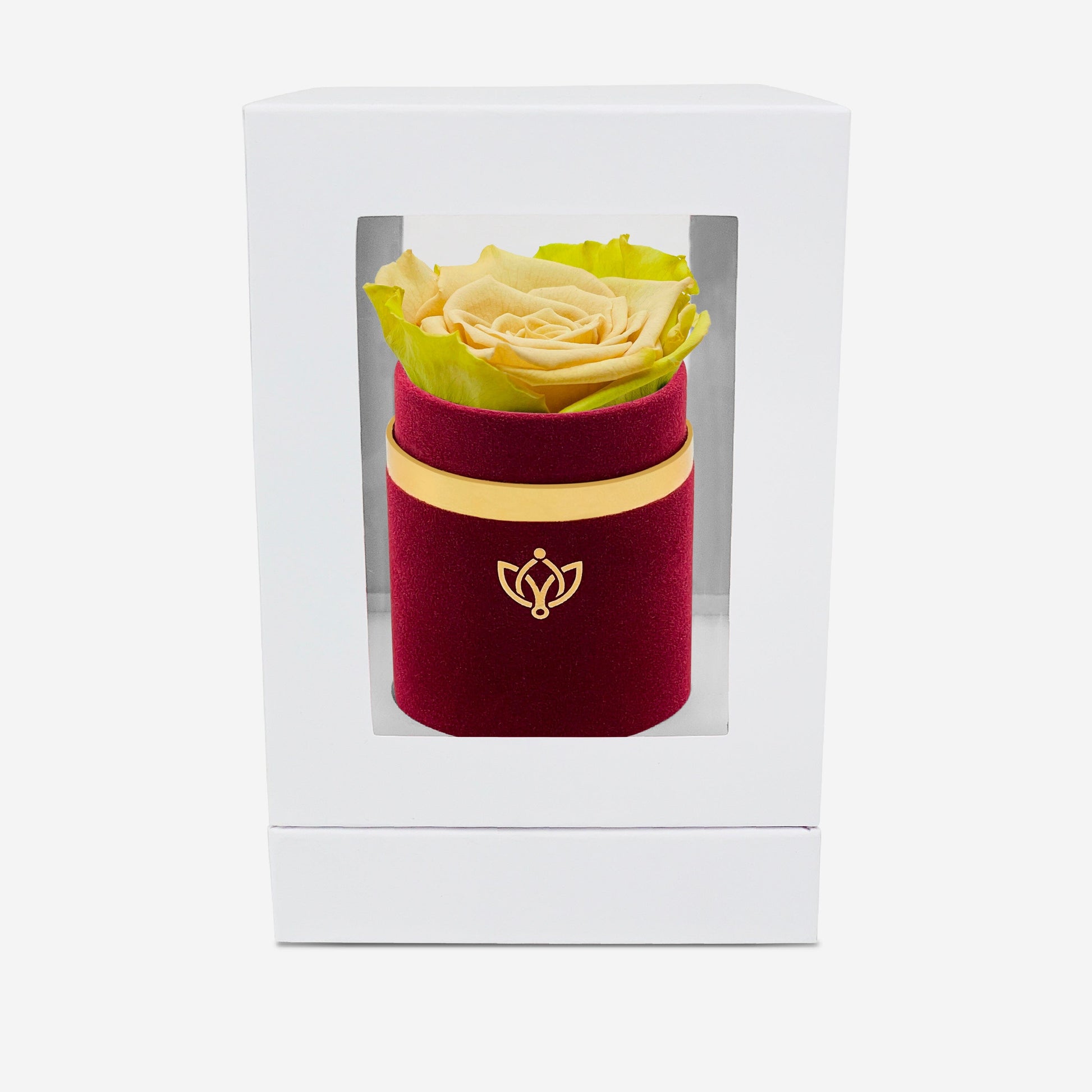 Single Bordeaux Suede Box | Fawn Bicolor Rose - The Million Roses
