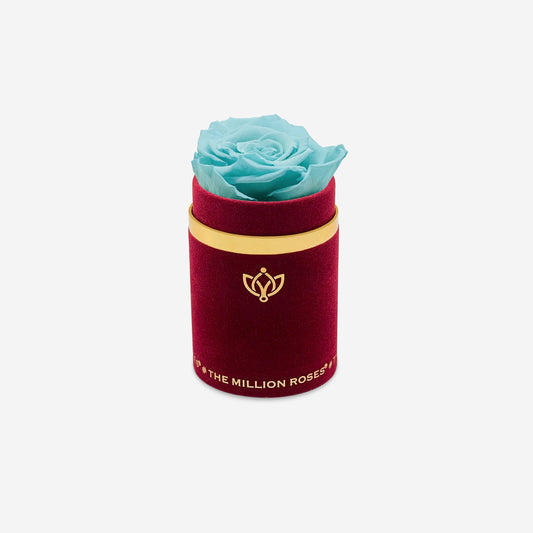 Single Bordeaux Suede Box | Turquoise Rose - The Million Roses