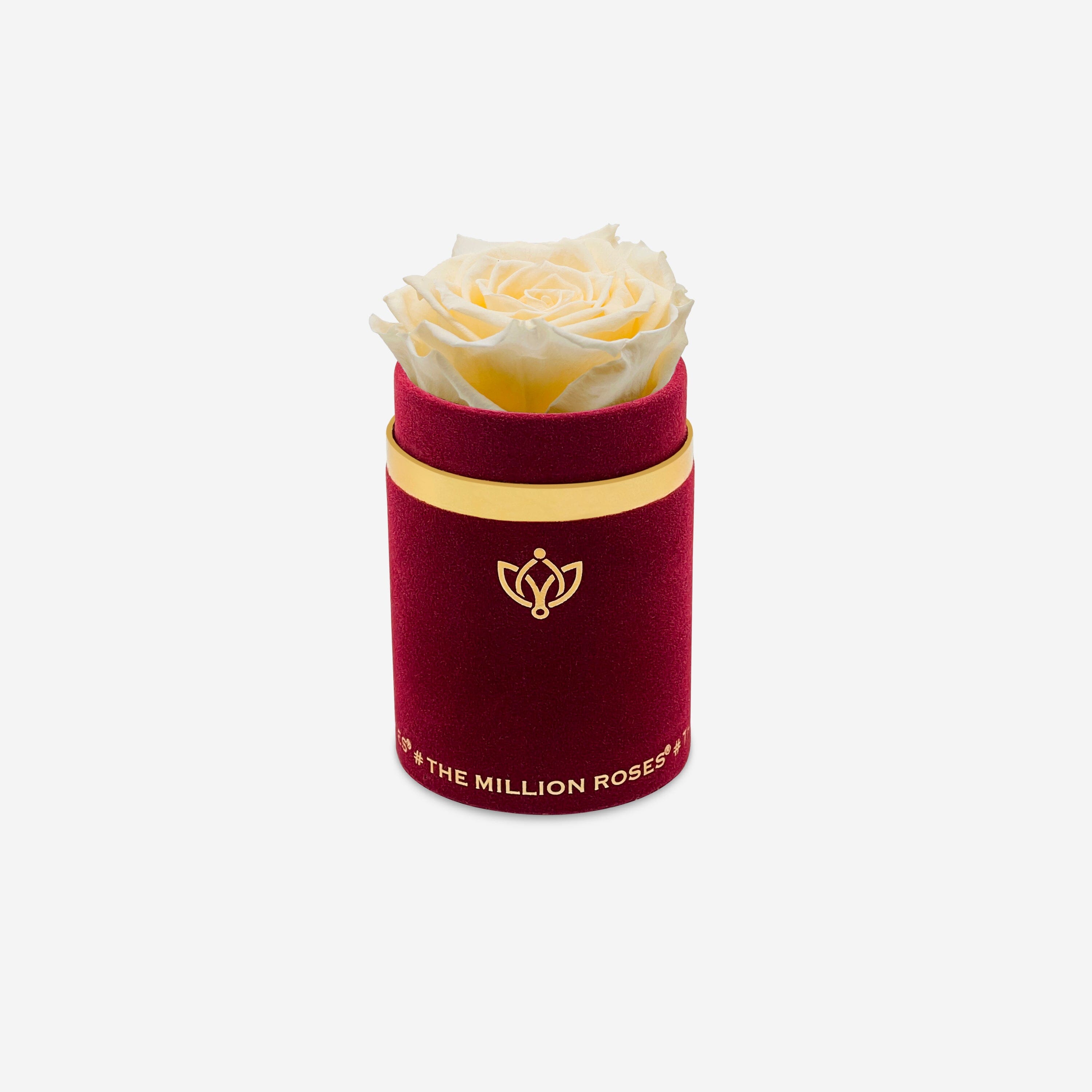 Single Bordeaux Suede Box | Ivory Rose - The Million Roses