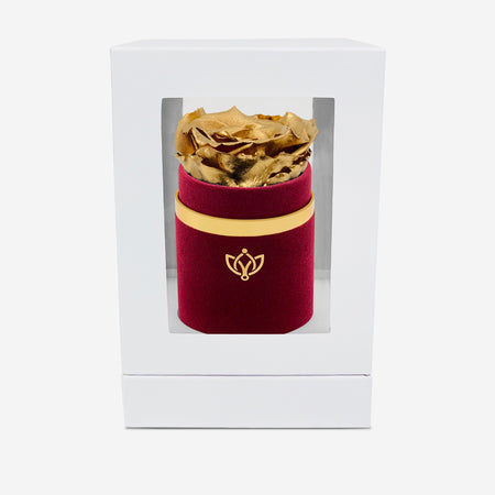 Single Bordeaux Suede Box | Gold Rose - The Million Roses