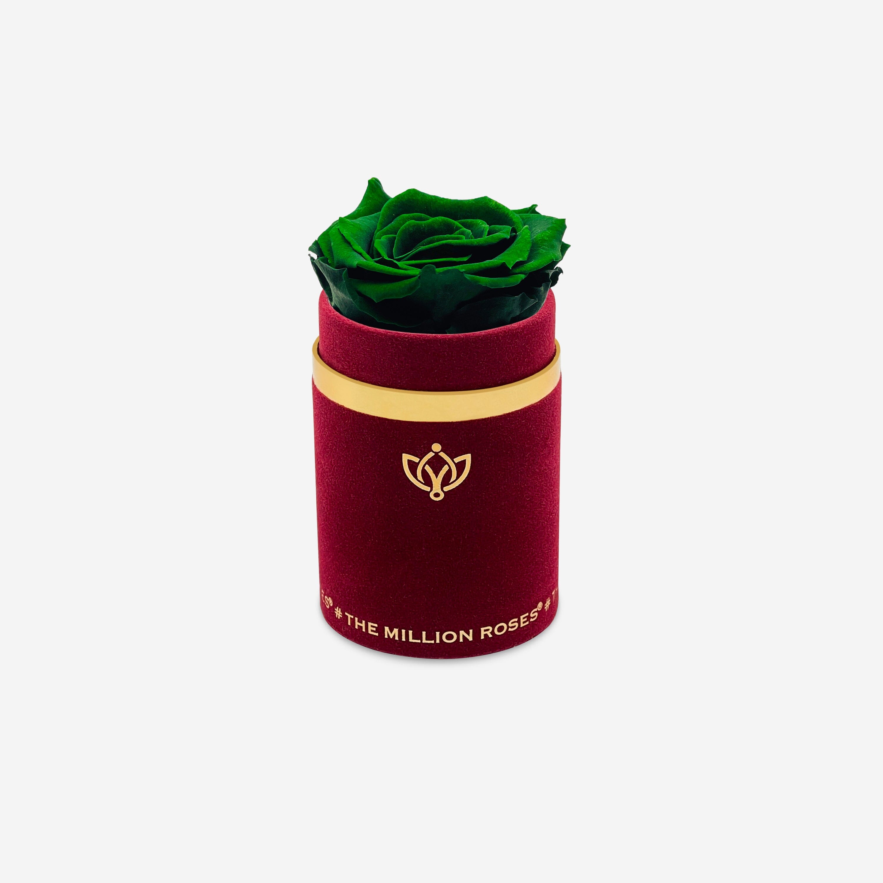 Single Bordeaux Suede Box | Dark Green Rose - The Million Roses