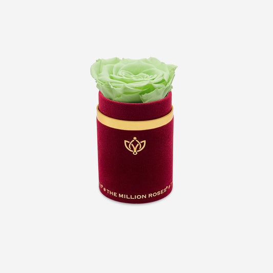 Single Bordeaux Suede Box | Mint Green Rose - The Million Roses