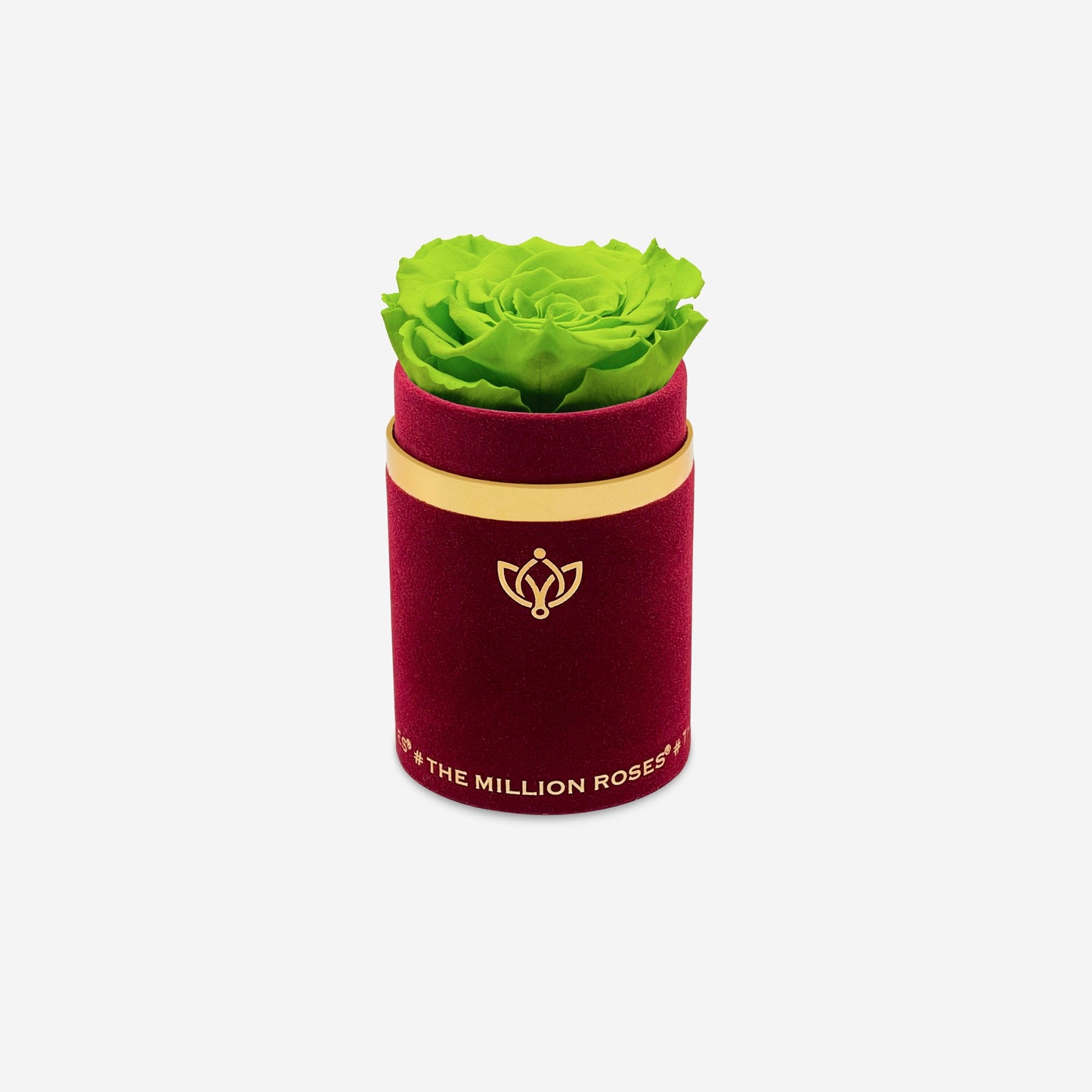 Single Bordeaux Suede Box | Light Green Rose - The Million Roses