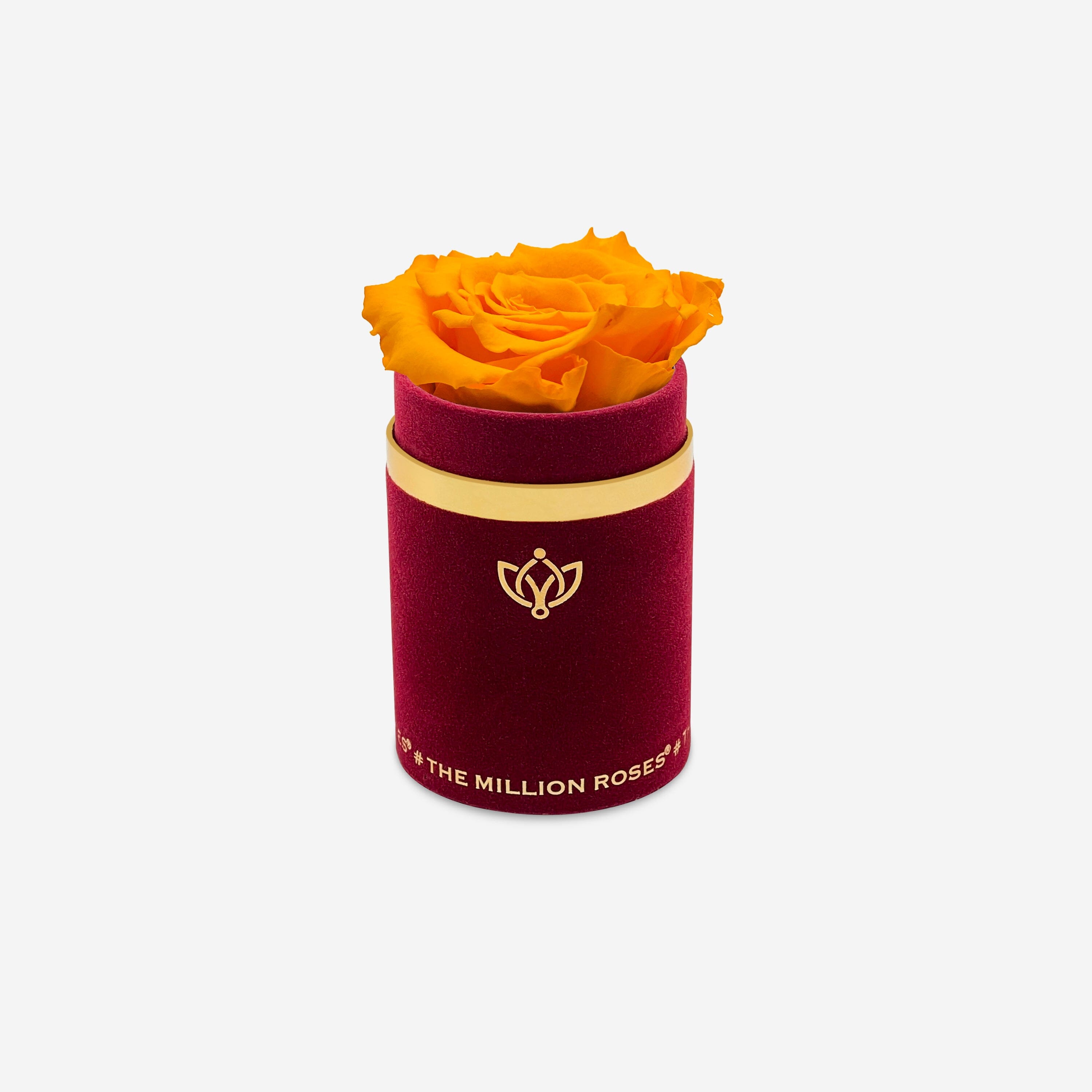 Single Bordeaux Suede Box | Orange Rose - The Million Roses