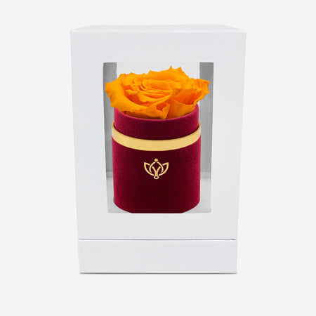 Single Bordeaux Suede Box | Orange Rose - The Million Roses