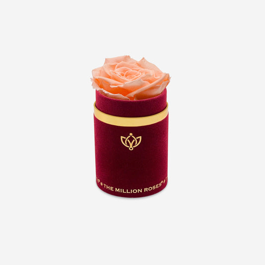 Single Bordeaux Suede Box | Peach Rose - The Million Roses
