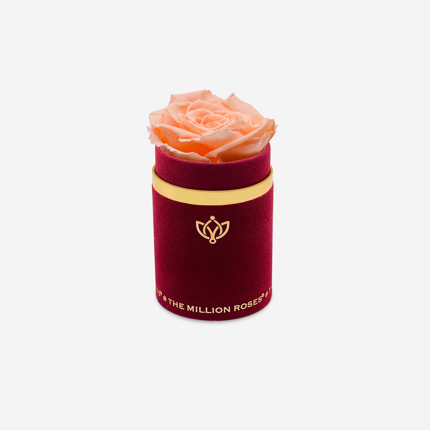Single Bordeaux Suede Box | Peach Rose - The Million Roses