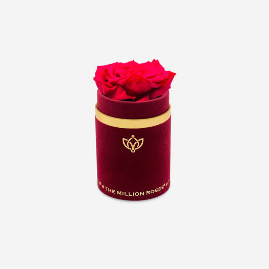Single Bordeaux Suede Box | Hot Pink Rose - The Million Roses