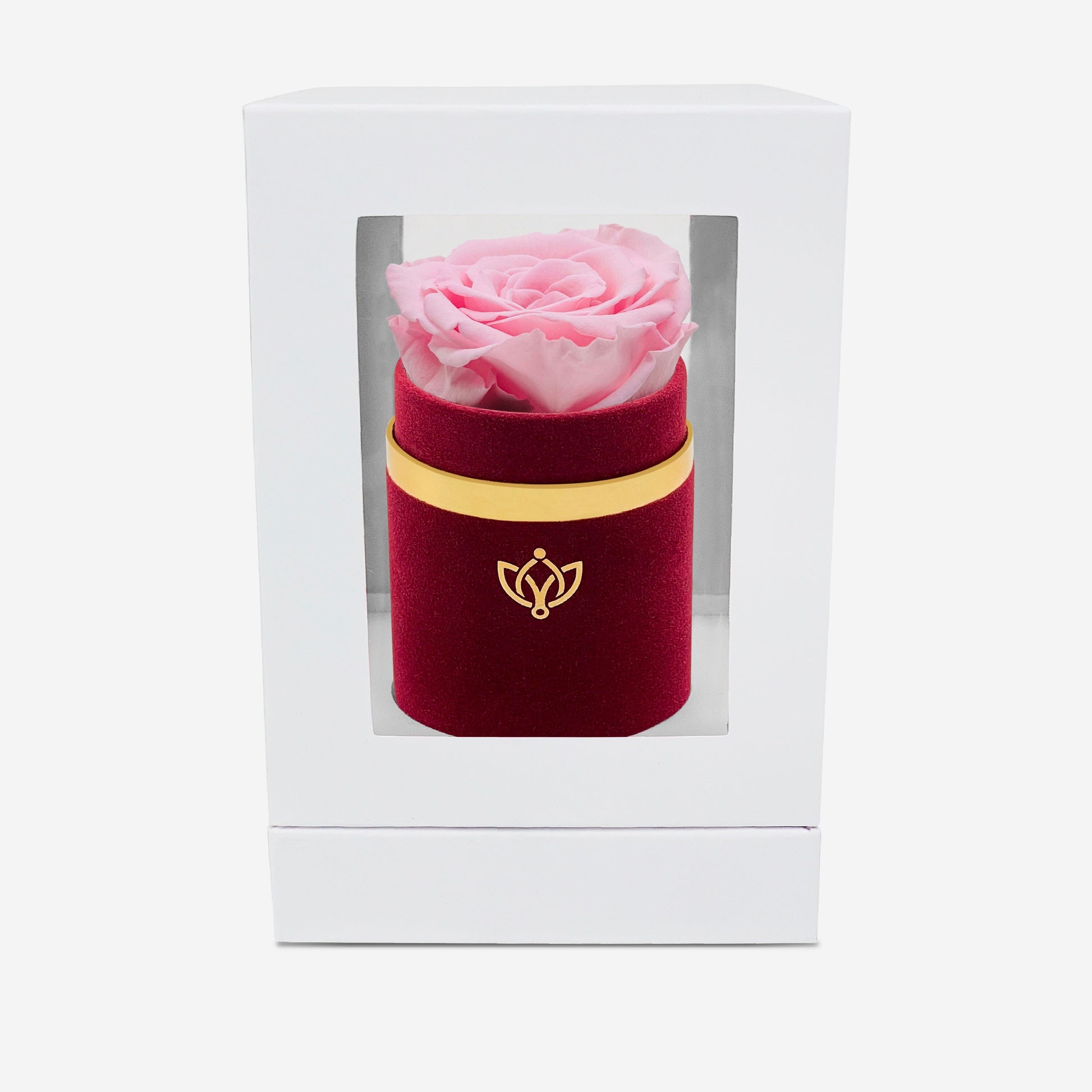 Single Bordeaux Suede Box | Light Pink Rose - The Million Roses