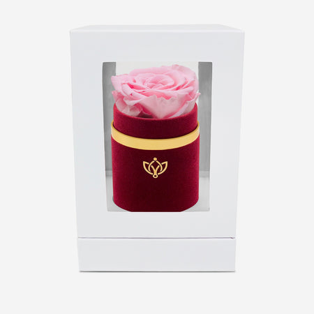 Single Bordeaux Suede Box | Light Pink Rose - The Million Roses